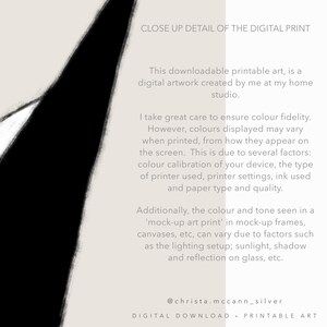 Japandi Gemstone Art Print: Minimalist Black & White, Taupe Minimal Wabi-Sabi Poster (Digital Download) image 9