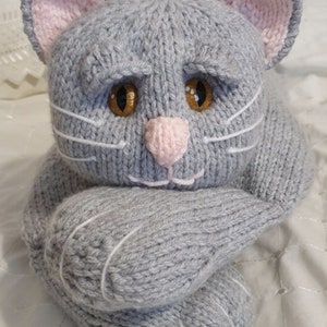 Digital Knitting Pattern for Gracie the Cat Pyjama/Hot Water Bottle Case