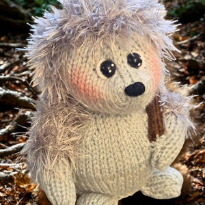 Homeward Bound Hedgehog - Chokladorange Mysig PDF Stickmönster