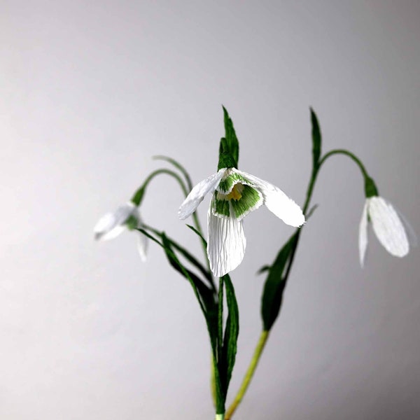 Snowdrop - tutorial / crepe paper flowers