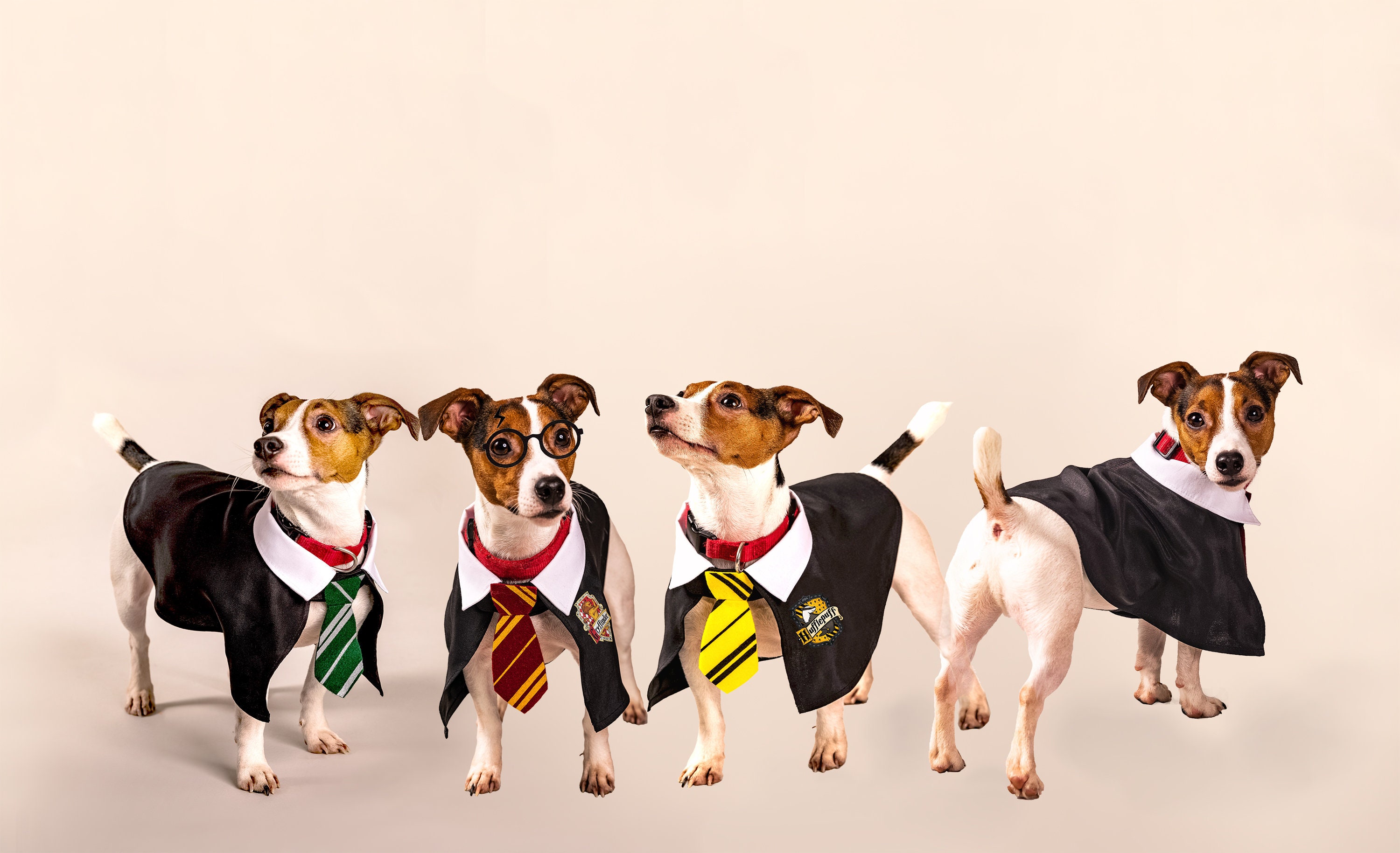 Harry potter cheap dog coat