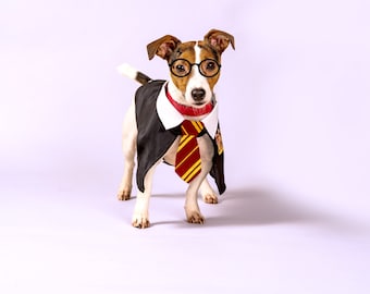 Harry Potter Pet Halloween Costume, Pet Gift, Harry Potter Wedding, Hogwarts Houses, Gryffindor, Hufflepuff, Ravenclaw, Slytherin