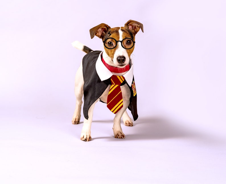 Harry Potter Pet Halloween Costume Pet Gift Harry Potter Etsy