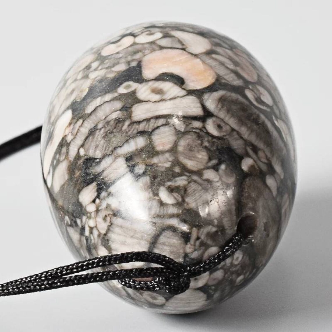CRINOID Fossil JASPER Yoni egg Kegel exercise stone gem Pelvic Etsy