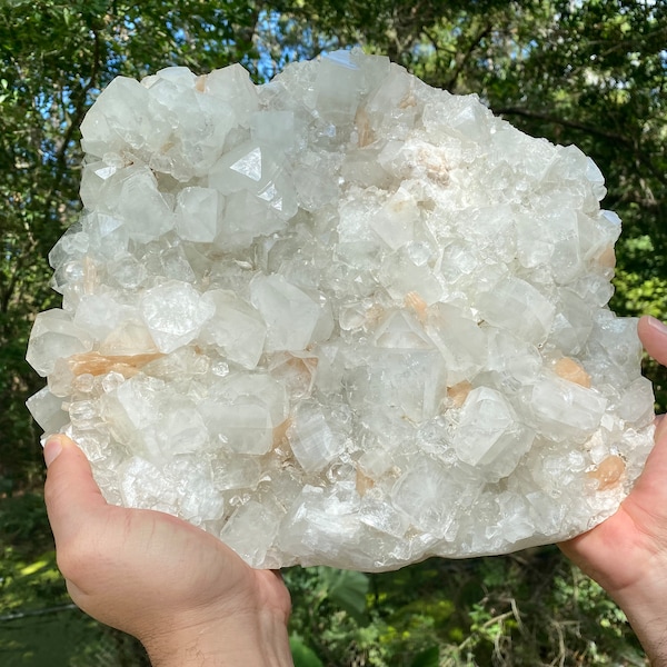 This Magnificent Apophyllite Crystal Cluster with stilbite inclusions is a unique specimen, that can be displayed anywhere.