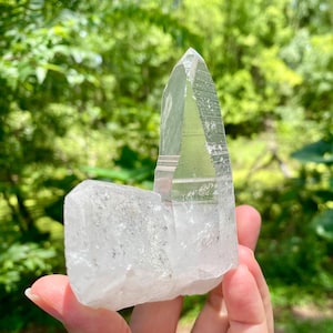 Twin Lemurian Seed Crystal with Chlorite Inclusions - Raw Quartz