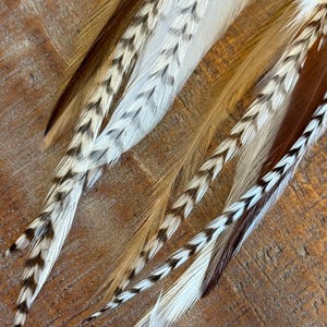 May include: A set of three brown, white, and black feathers with a chevron pattern. The feathers are arranged in a fan shape and have a soft, fluffy texture.