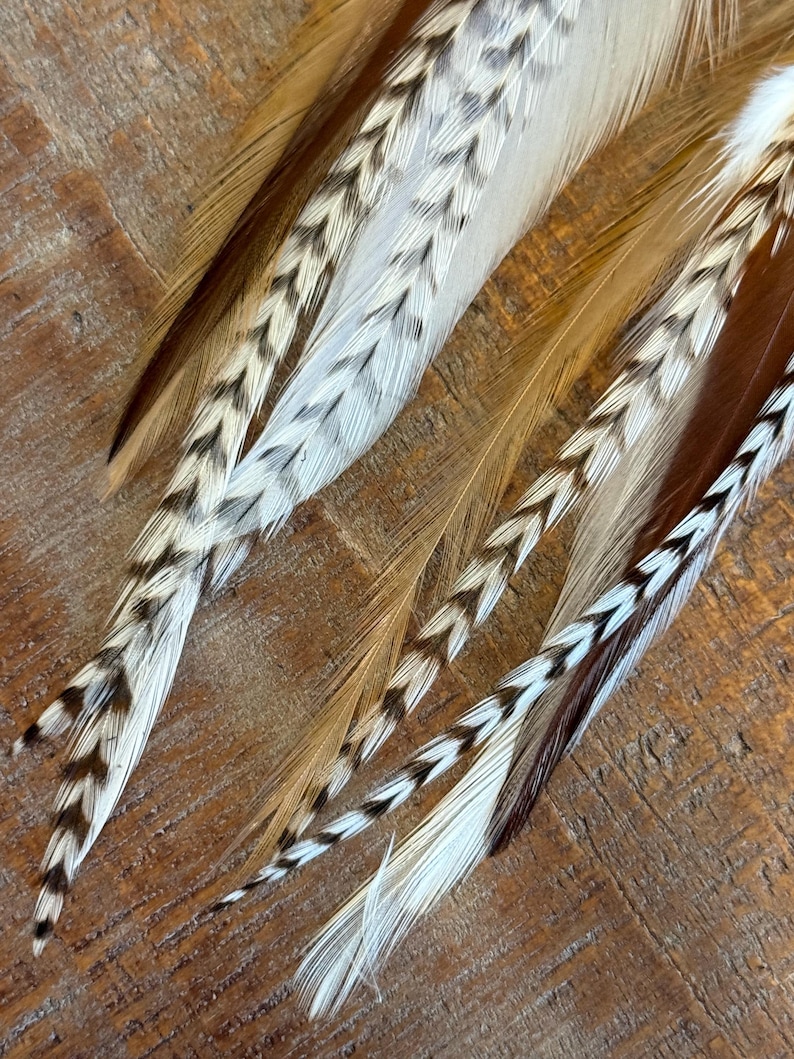May include: A set of three brown, white, and black feathers with a chevron pattern. The feathers are arranged in a fan shape and have a soft, fluffy texture.