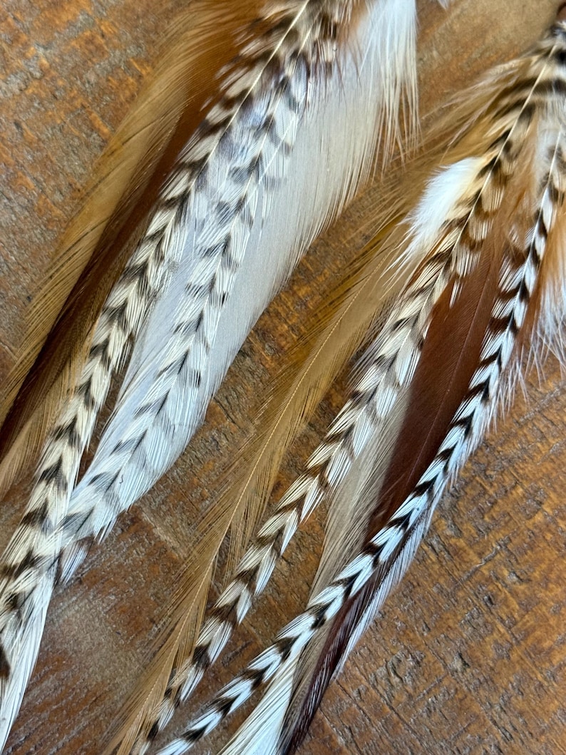 May include: Two long brown and white feathers with a chevron pattern. The feathers are arranged side by side and are lying on a wooden surface.