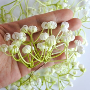24pcs Fake loose Baby&#39;s Breath ,  Artificial  Fillers, Fabric Leaf Frosted Wedding Flowers, Bridal Decoration, Flower Crown Filler AP17
