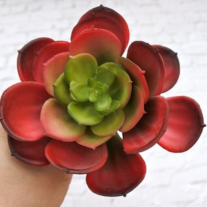 Artificial Succulent, Faux Succulent,Fake red Succuent, lotus，Unpotted Fake Cactus for Home Gardern Diy Decoration, Office Decor S018