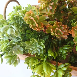 Artificial Succulent, Faux Succulent,Fake green Succuent, lotus,Unpotted Fake Succulent for Home Gardern Diy Decoration, Office Decor S033