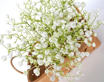 Kunstmatige baby's adem, 210 mini witte bloemen, faux witte bloemenbundel, voor bruidsboeket, huisdecoratie (W001B)