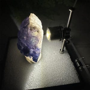 May include: A rough-hewn, natural stone specimen, predominantly white and deep purple, illuminated by a focused light source. The stone's surface has a textured appearance, with areas of color variation. The lighting highlights the stone's unique form and details.