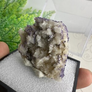 Op de afbeelding: Een natuurlijk mineraal specimen met een cluster van kristallen in witte en paarse tinten. Het mineraal wordt gepresenteerd in een transparante vitrine met een zwarte basis, die de unieke textuur en kleurvariaties benadrukt.