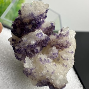 以下が含まれることがあります： 天然の蛍石の結晶の塊で、半透明の白と濃い紫色の色合いが混ざっています。結晶構造は、鋭いエッジと粗い質感で確認できます。鉱物標本は白い表面に展示されています。