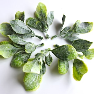 24 pieces Artificial Dusty stems Leaves，Small filler Artificial Leaves，Wedding Flower Crown Filler，yellow green mint leaf(AP030)