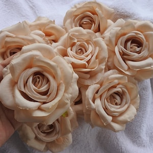 10-50pcs cream Artificial Flowers Dusty Rose head  for DIY Wedding Bouquet Centerpieces Arrangements Party Baby Shower Champagne rose  bf001