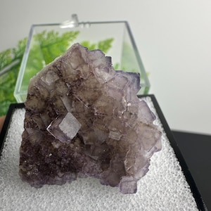 Könnte beinhalten: Ein roher Fluorit-Kristallcluster in Lila- und Brauntönen. Die Mineralprobe wird in einer transparenten Kunststoffbox auf einer weißen, strukturierten Oberfläche präsentiert. Der Kristall hat eine kubische Struktur.