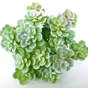 Artificial Succulent, Faux Succulent,Fake green Succuent, lotus，Unpotted Fake Cactus for Home Gardern Diy Decoration, Office Decor S030