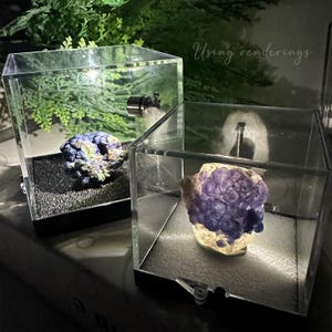 May include: Two clear display cases with illuminated mineral specimens. One case holds a blue and yellow mineral, the other a purple mineral. The cases have a black base and a magnetic closure. The text "Using renderings" is visible in the background.