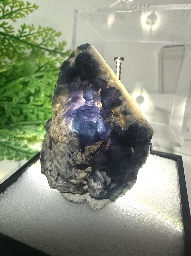 May include: A raw, natural fluorite crystal specimen. The stone features a mix of purple and gray hues, with a translucent quality. The crystal is displayed in a clear case, showcasing its unique shape and texture. The specimen is a mineral and gemstone.