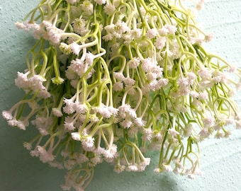 Kunstmatige gipskruid, 210 mini witte bloemen, Faux witte bloemenbundel, voor bruidsboeket, woondecoratie (W001A)