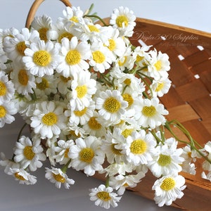 30 mini Gänseblümchen, 6 Stiele Seidenblumen mit Stiel, Haarschmuck, Blumenkranz, Haarschmuck, Corsage, DIY Hochzeit Braut lf019 white gänseblümchen Bild 6