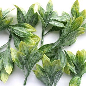 24 pieces Artificial Dusty stems Leaves，Small filler Artificial Leaves，Wedding Flower Crown Filler，yellow green orchid leaf(AP005)