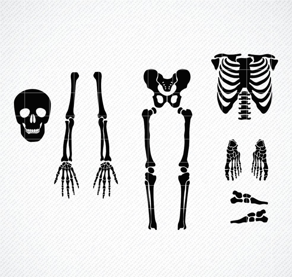 Skeleton Cricut SVG Skeleton Cricut SVG