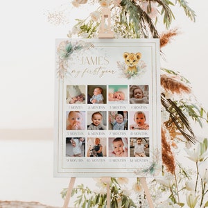 Lion 1st birthday photo collage template, lion 12 month photo collage sign, safari 1st birthday sign, baby's first year photo poster - C157