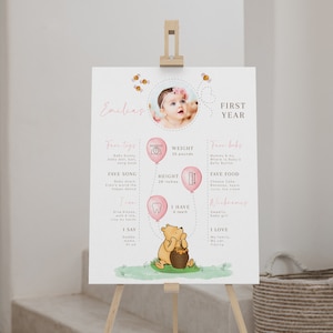 Winnie The Pooh 1st birthday milestone poster decor, editable winnie the pooh girl pink milestone sign, girl 1st birthday milestone - C538-g