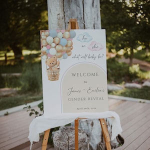 Bear gender reveal welcome sign pink and blue decoration, he or she hot air balloons baby shower modern welcome poster printable - C429