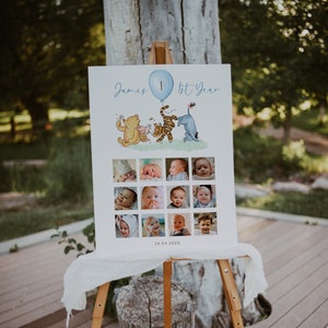 Editable winnie the pooh first year photo poster, winnie the pooh my first year photo collage, pooh 12 month photo collage - C536
