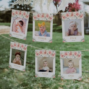 Editable monthly photo banner floral birthday party, first year photos, printable 1st birthday photo display banner floral party girl - C89