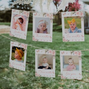 Editable monthly photo banner floral birthday party, first year photos, printable 1st birthday photo display banner floral party girl - C178