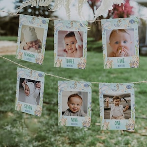 Editable under the sea monthly photo banner, ocean party decoration first year photos, ocean animals 1st birthday photo display banner -C127
