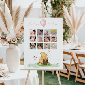 Winnie pooh 1st year photo collage printable, girl honey first year photo poster winnie pooh decor, my first year photo collage sign- C538-g