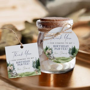 Par-tee 1st birthday party thank you tags printable, sport golf cart and balloons bday thank you gift tag, boy golf birthday favor tag -C646