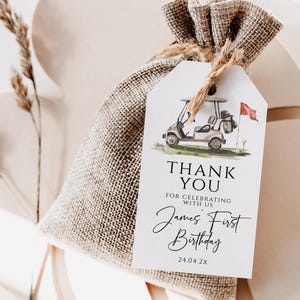 Golf party 1st birthday thank you tags printable, golf cart and flag boy birthday party favor tags, golf sport boy birthday gift tag - C649