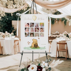 Pastel yellow balloons honey 1st year photo poster printable, photo collage 1st year girl, winnie the pooh my first year photo collage -C538