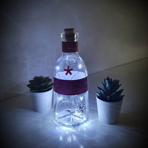 Caorunn gin bottle lamp/light