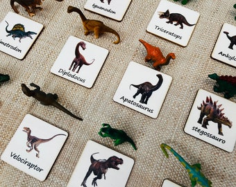 Montessori and Waldorf learning dinosaurs from Safari Ltd brand sustainable match toys with wooden cards perfect for homeschooling.