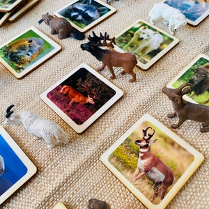 North American wildlife Animals Montessori and Waldorf inspired learning sustainable match toys with wooden cards perfect for homeschooling.