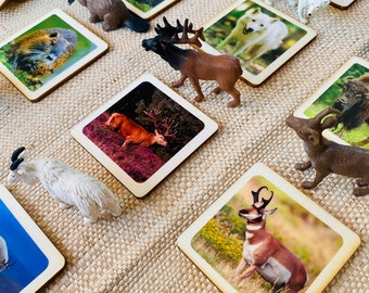 North American wildlife Animals Montessori and Waldorf inspired learning sustainable match toys with wooden cards perfect for homeschooling.