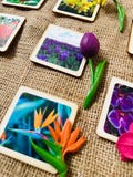 Miniature Flower Montessori Learning Toys with Wooden Cards product logo