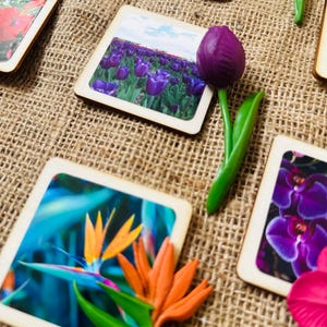 Montessori et Waldorf apprennent des fleurs, des jouets miniatures durables avec des cartes en bois, parfaits pour l'enseignement à domicile.