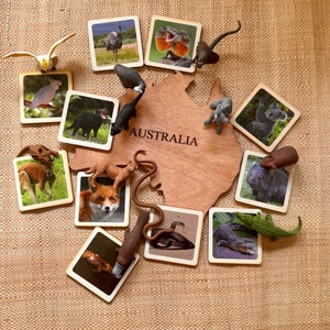 Juguetes sostenibles con tarjetas de madera para combinar animales australianos con aprendizaje Montessori y Waldorf, perfectos para la educación en casa.