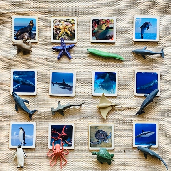 Montessori and Waldorf learning Sea life Animals sustainable match toys cards perfect for homeschooling.