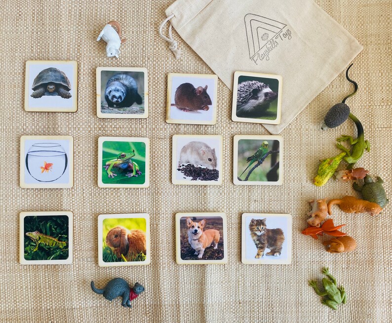 May include: A set of 12 wooden tiles with images of various animals, including a turtle, a cat, a dog, a fish, a frog, a bird, a hedgehog, a mouse, a rabbit, a hamster, a butterfly, and a ladybug. The tiles are arranged in a grid pattern on a brown fabric background. Playhills Toys is printed on a white bag in the background.